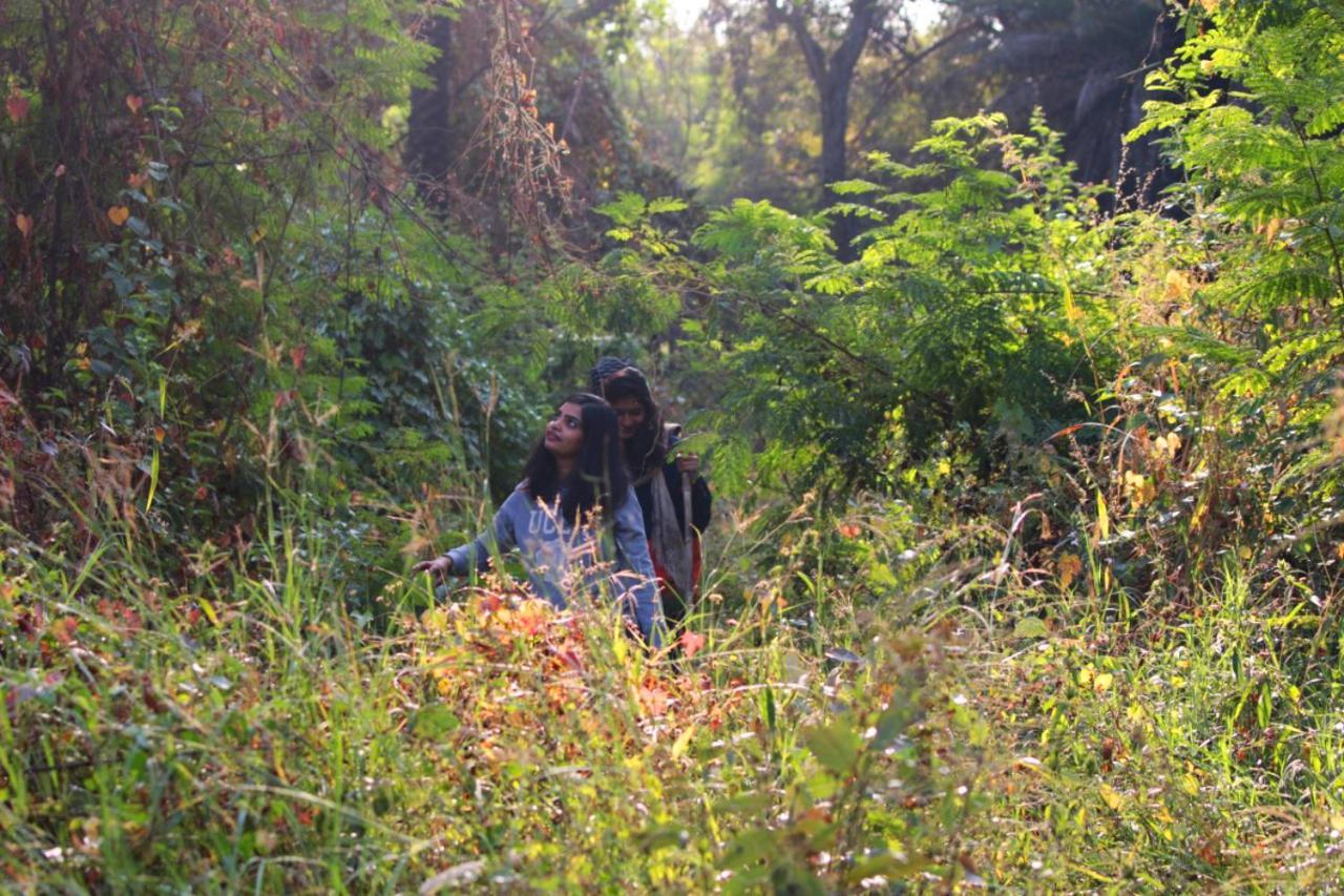 Dera Baghdarrah Nature Retreat Udaipur Luaran gambar