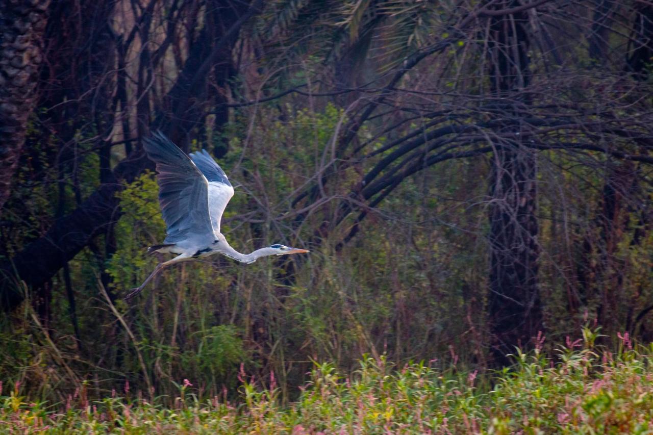 Dera Baghdarrah Nature Retreat Udaipur Luaran gambar