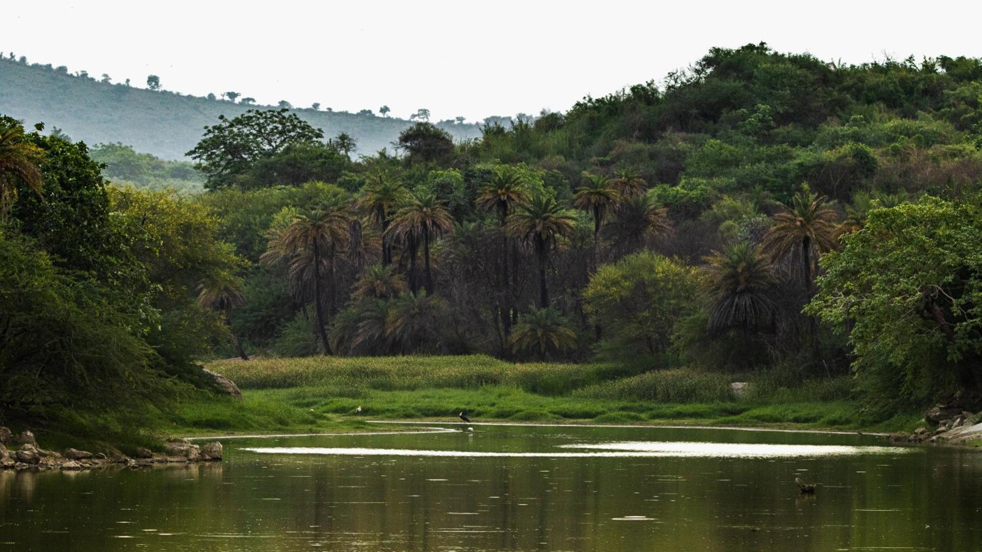 Dera Baghdarrah Nature Retreat Udaipur Luaran gambar