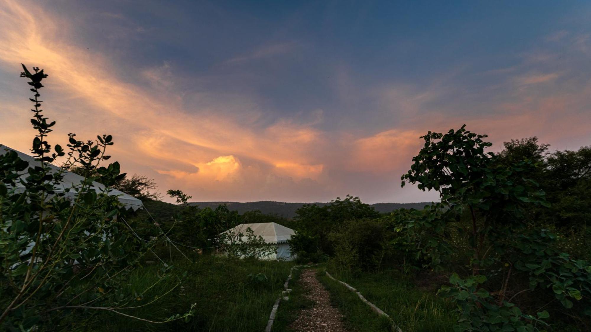 Dera Baghdarrah Nature Retreat Udaipur Luaran gambar